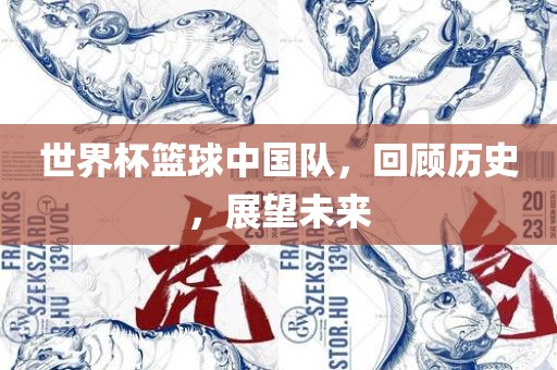 世界杯篮球中国队，回顾历史，展望未来