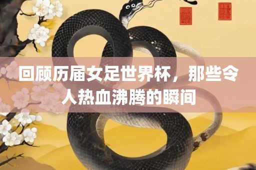 回顾历届女足世界杯，那些令人热血沸腾的瞬间漯河市盈旭机械设备有限公司