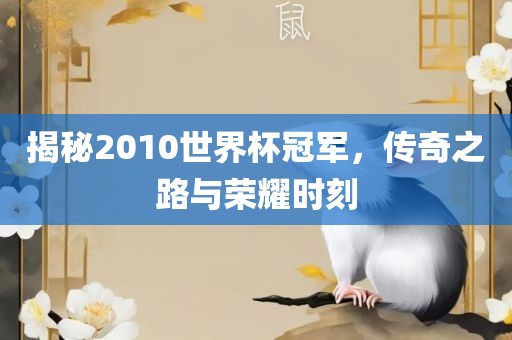 揭秘2010世界杯冠军，传奇之路与荣耀时刻