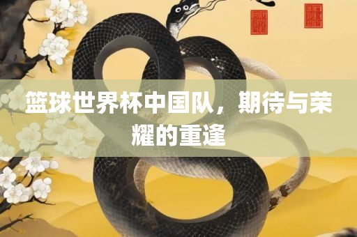 篮球世界杯中国队，期待与荣耀的重逢