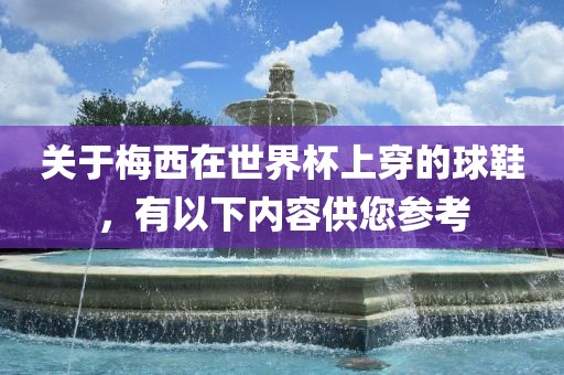 关于梅西在世界杯上穿的球鞋，有以下内容供您参考漯河市盈旭机械设备有限公司