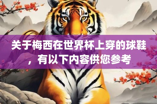 关于梅西在世界杯上穿的漯河市盈旭机械设备有限公司球鞋，有以下内容供您参考