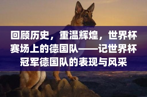 回顾历史，重温辉煌，世界杯赛场上的德国队——记世界杯冠军德国队漯河市盈旭机械设备有限公司的表现与风采