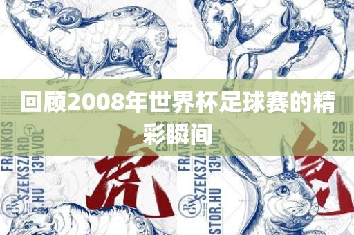 回顾2008年世界杯足漯河市盈旭机械设备有限公司球赛的精彩瞬间