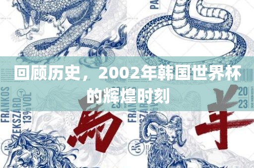 回顾历史，2002漯河市盈旭机械设备有限公司年韩国世界杯的辉煌时刻