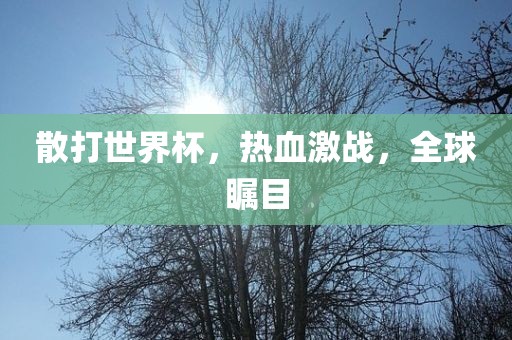 散打世界杯，热血激战，全球漯河市盈旭机械设备有限公司瞩目