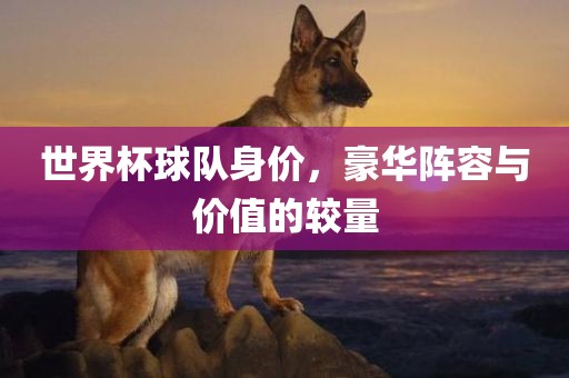 世界杯球队身价，豪华阵容与价值的较量漯河市盈旭机械设备有限公司