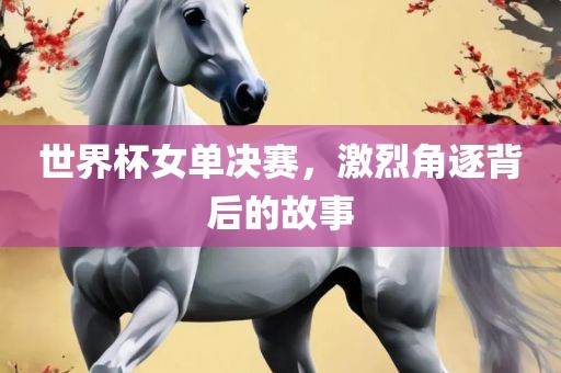 世界杯女单决赛，激烈角逐背后的故事