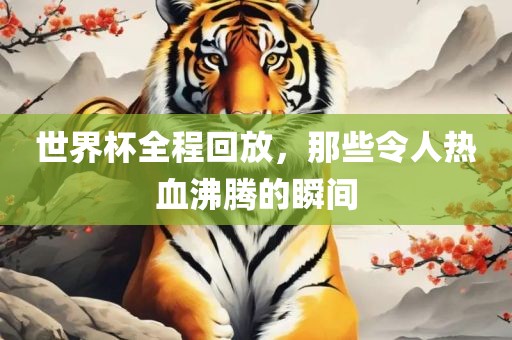 世界杯全程回放，那些令人热血沸腾的瞬间漯河市盈旭机械设备有限公司