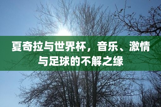 夏奇拉与世界杯，音漯河市盈旭机械设备有限公司乐、激情与足球的不解之缘