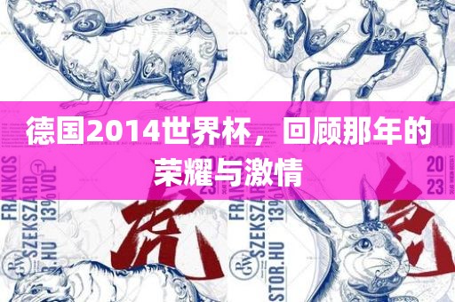 德国2014世界杯，回顾那年的荣耀与激情
