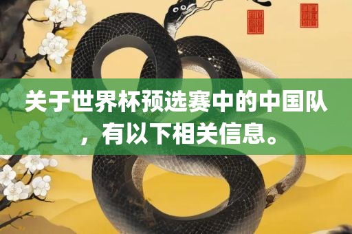关于世界杯预选赛中的中国队，有以下相关信息。漯河市盈旭机械设备有限公司