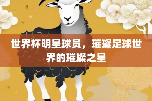世界杯明星球员，璀璨足球世界的璀璨之星漯河市盈旭机械设备有限公司