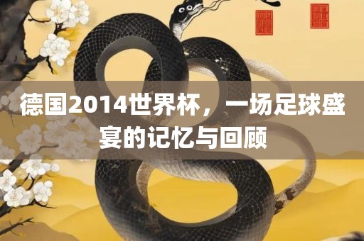 德国2014世界杯，一场足球盛宴的记忆与回顾漯河市盈旭机械设备有限公司