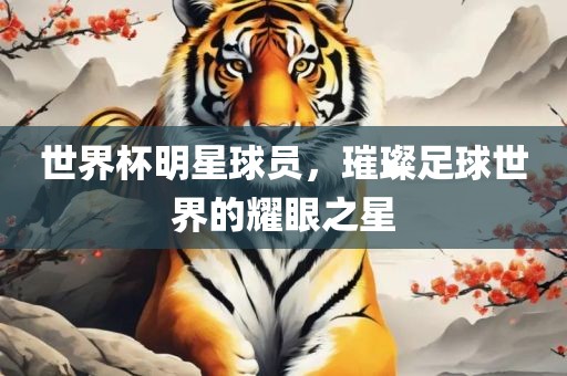 世界杯明星球员，璀璨足球世界的耀眼之星