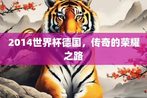 2014世界杯德国，传奇的荣耀之路