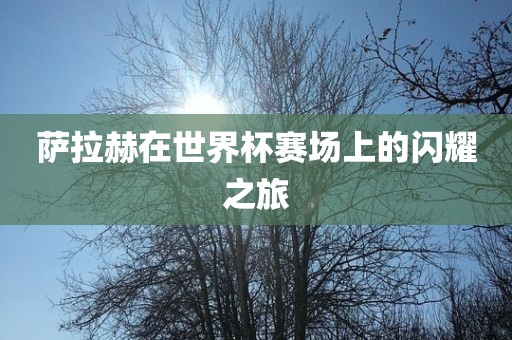 萨拉赫在世界杯赛场上的闪耀之旅漯河市盈旭机械设备有限公司