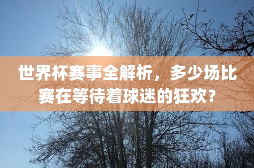 世界杯赛事全解析，多少场比赛在等待着球迷的狂欢？