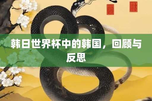 韩日世界杯中的韩国，回顾与反思