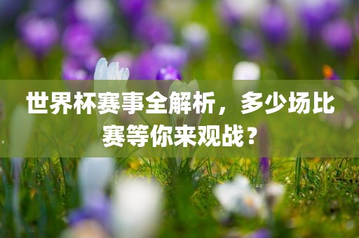 世界杯赛事全解析，多少场比赛等你来观战？