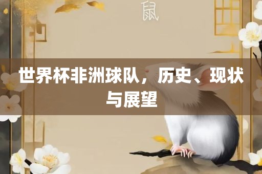 世界杯非洲球队，历史、现状与展望