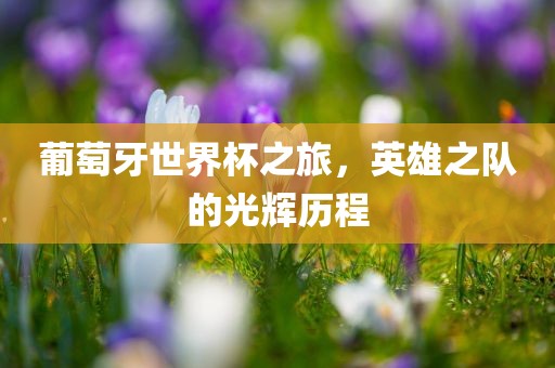 葡萄牙世界杯之旅，英雄之队的光辉历程漯河市盈旭机械设备有限公司
