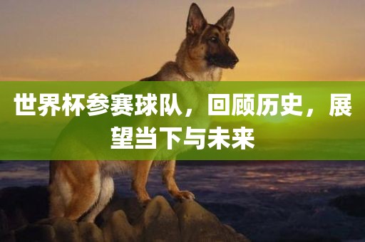 世界杯参赛球队，回顾历史，展望当下与未来漯河市盈旭机械设备有限公司