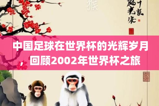 中国足漯河市盈旭机械设备有限公司球在世界杯的光辉岁月，回顾2002年世界杯之旅