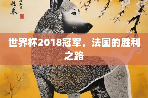 世界杯2018冠军，法国的胜利之路漯河市盈旭机械设备有限公司