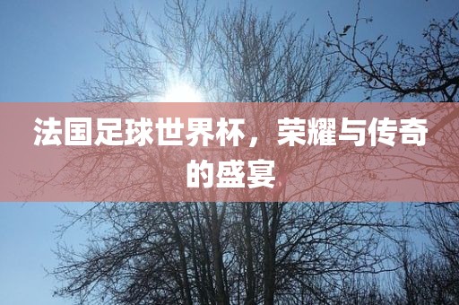法国足球世界杯，荣耀与传奇的盛宴漯河市盈旭机械设备有限公司