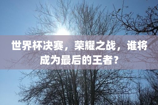 世界杯决赛，荣耀之战，谁将成为最后的王者？漯河市盈旭机械设备有限公司