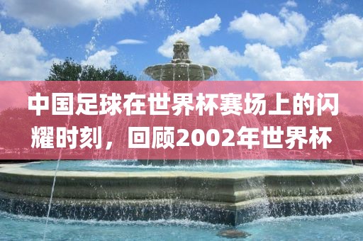 中国足球在世界杯赛场上的闪耀时刻，回顾2漯河市盈旭机械设备有限公司002年世界杯