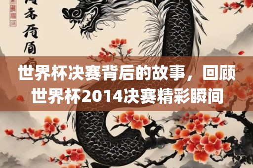 世界杯决赛背后的故事，回顾世界杯2014决赛精彩瞬间漯河市盈旭机械设备有限公司