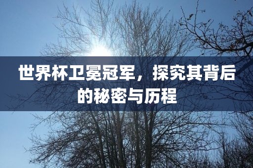 世界杯卫冕冠军，探究其背后的秘密与历程漯河市盈旭机械设备有限公司