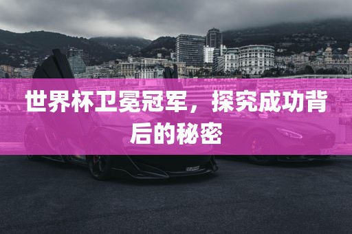 chenxinyao 第5页