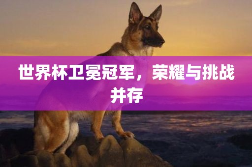 世界杯卫冕冠军，荣耀与挑战并存