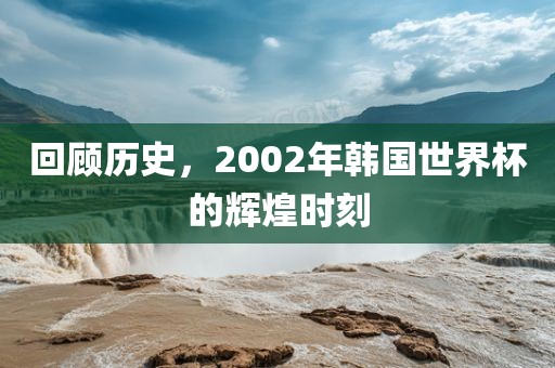 回顾历史，2002年韩国世界杯的辉煌时刻漯河市盈旭机械设备有限公司