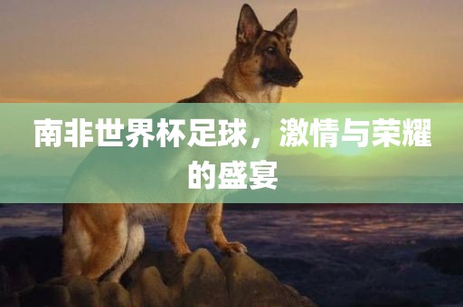 南非世界杯足球，激情与荣耀漯河市盈旭机械设备有限公司的盛宴