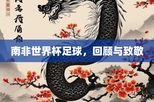 南非世界杯足球，回顾与致敬漯河市盈旭机械设备有限公司