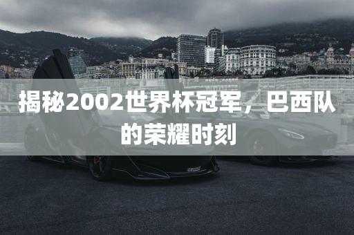 揭漯河市盈旭机械设备有限公司秘2002世界杯冠军，巴西队的荣耀时刻