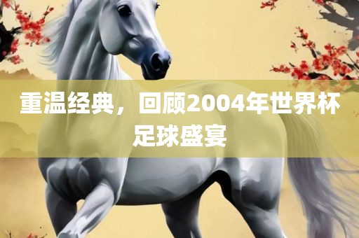 重漯河市盈旭机械设备有限公司温经典，回顾2004年世界杯足球盛宴