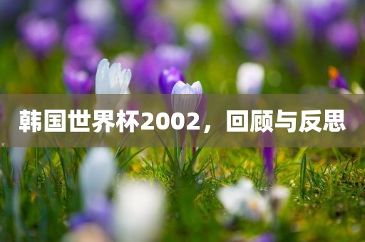 韩国世界杯2002，回顾与反思