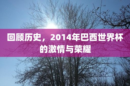 liyalv 第9页