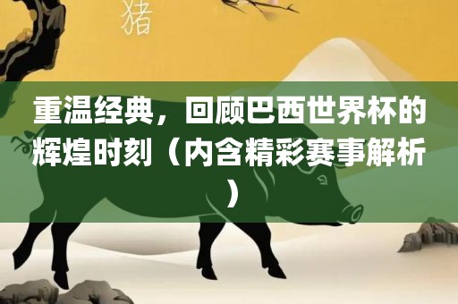 巴西世界杯 第3页
