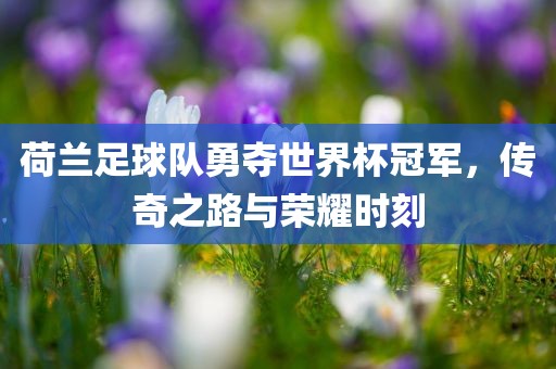 荷兰足球队勇夺世界杯冠军，传奇之路与荣耀时刻