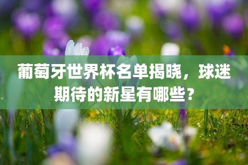 葡萄牙世界杯名单揭晓，球迷期待的新星有哪些？