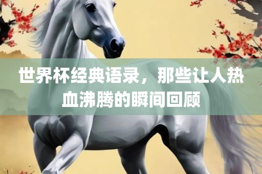 世界杯经典语录，那些让人热血沸腾的瞬间回顾