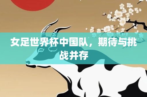 女足世界杯中国队，期待与挑战并存漯河市盈旭机械设备有限公司
