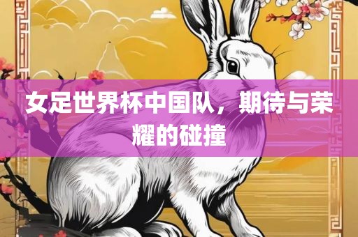 女足世界杯中国队，期待与荣耀的碰撞漯河市盈旭机械设备有限公司