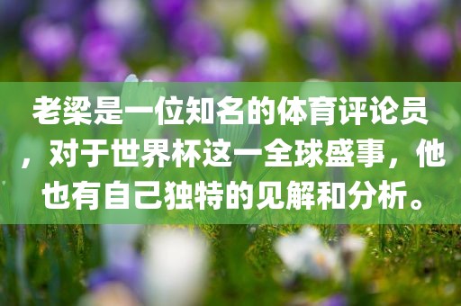 老梁是一位知名的体育评论员，对于世界杯这一全球盛事，他也有自己独特的见解和分析。漯河市盈旭机械设备有限公司